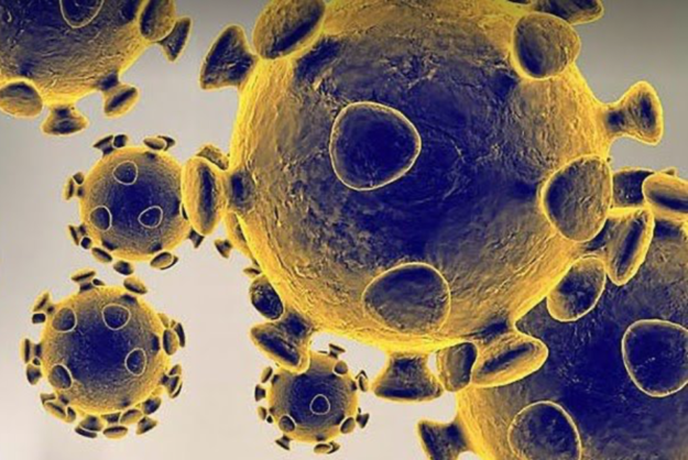 Image microscope du Corona Virus