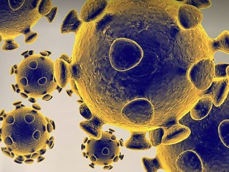 Image microscope du Corona Virus